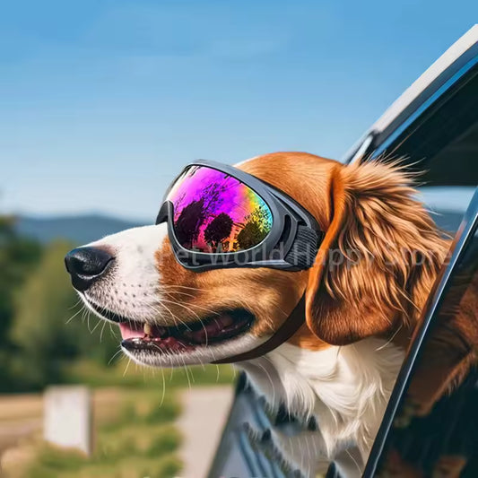 Dog Sunglasses Soft Adjustable UV Protection