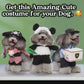 Cute Adorable Pet Costume